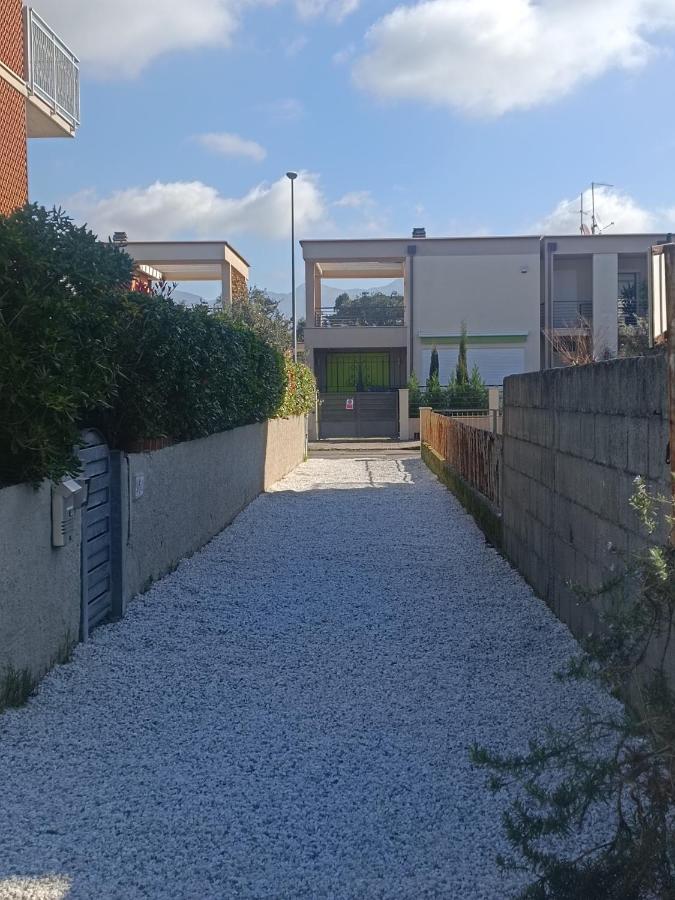 Apartment Le Palme 98 